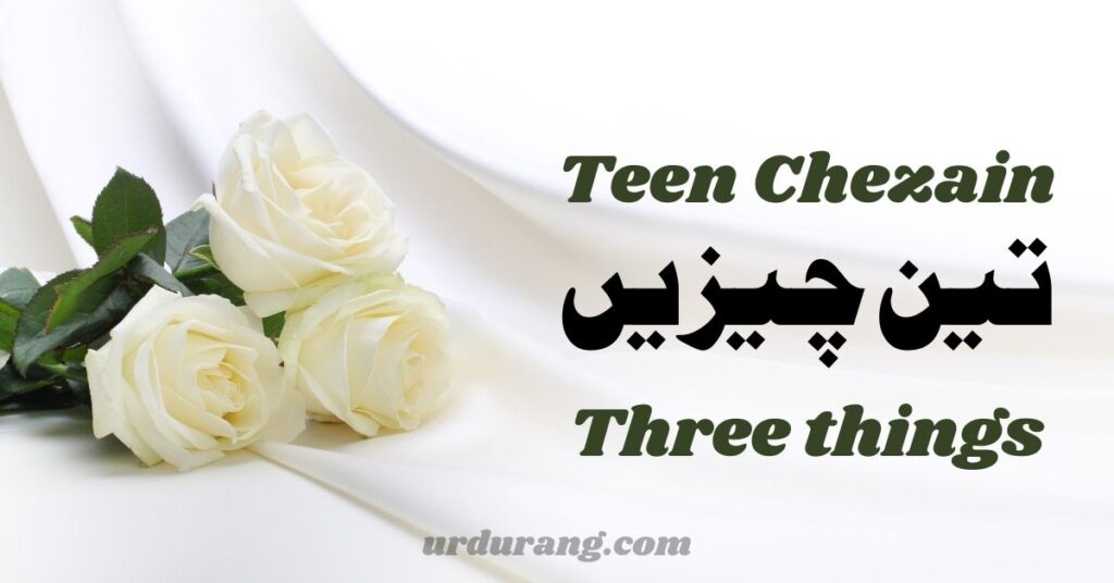 urdu quotes about teen cheezain